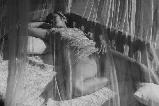 regine-trans-angers